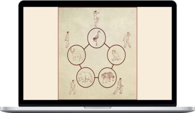 Tom Bisio – Five Animal Play Qi Gong Online Learning Program