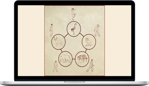 Tom Bisio – Five Animal Play Qi Gong Online Learning Program