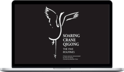 Soaring Crane Qigong – master Zhao Jinxiang