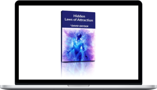 David Snyder – Hidden Laws of Attraction Webinar 2020