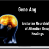 Gene Ang - Arcturian Neurobiology of Attention Group Healings