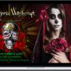 The School of Esoterica - The Complete Course to modern Brujeria Witchcraft