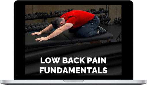 Michael Mash – Low Back Pain Fundamentals