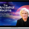 Steven Farmer – The 5 Ancestral Realms