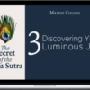 Pandit Rajmani Tigunait – Yoga Sutra Master Course 3 – Discovering Your Luminous Joy