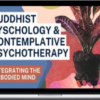 Joe Loizzo – Buddhist Psychology And Contemplative Psychotherapy – Collection