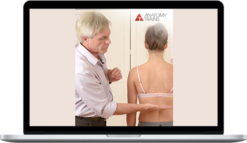 Tom Myers – BodyReading Visual Assessment of the Anatomy Trains Video Series