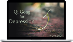 lee Holden – Qi Gong for Depression Workshop