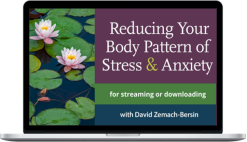 David Zemach-Bersin – Reducing Your Body Pattern of Stress & Anxiety