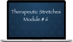 Michael Sitzer – Thai Yoga Bodywork - Therapeutic Stretches 2 - Module #6