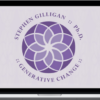 Stephen Gilligan – Generative Change Audio Series