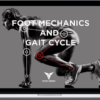 Posturepro – Foot Mechanics and Gait Cycle
