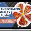 Brad Kammer – Transforming Complex Trauma