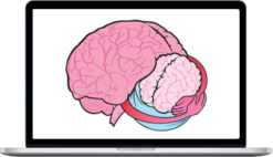 NICABM – The Neurobiology Of Attachment