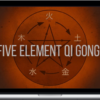 Tom Bisio – Five Element (Wu Xing) Qi Gong