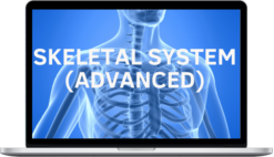 Spirituality Zone – Skeletal System: Renew, Restore & Strengthen (Advanced)