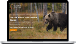 Lee Holden – The Five Animal Frolics Online Course