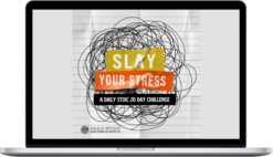 Ryan Holiday – Slay Your Stress: A Daily Stoic 20 Day Challenge – Daily Stoic