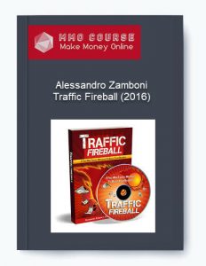 Alessandro Zamboni %E2%80%93 Traffic Fireball 2016