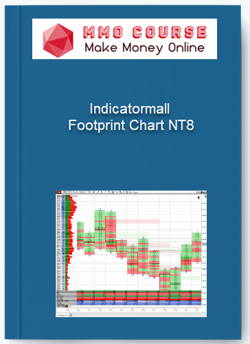 Indicatormall %E2%80%93 Footprint Chart NT8