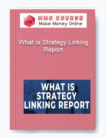 What is Strategy Linking Report