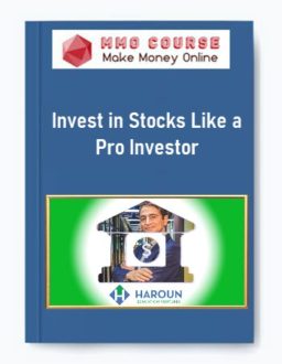 Invest in Stocks Like a Pro Investor