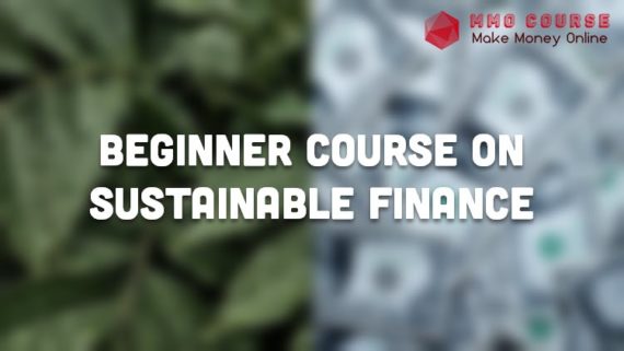Beginner Course on Sustainable Finance