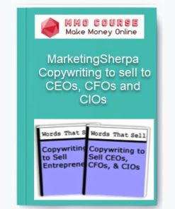 Copywriting to sell to CEOs
