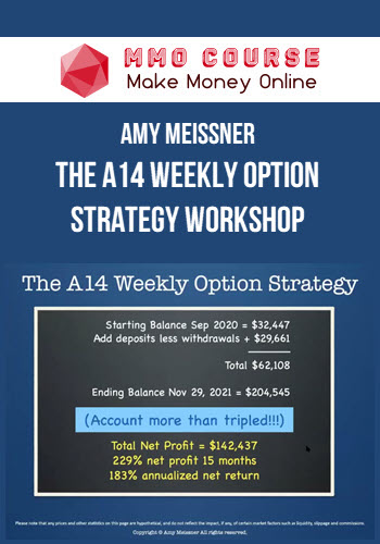 Amy Meissner – The A14 Weekly Option Strategy Workshop