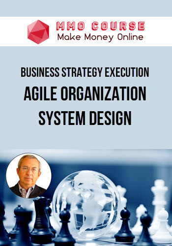 Business Strategy Execution-Agile Organization System Design