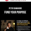 Peter Diamandis – Fund Your Purpose