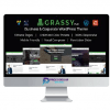 Grassy Business Wordpress Theme