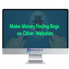 Make Money Finding Bugs on Other Websites