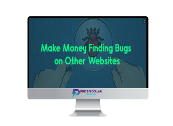 Make Money Finding Bugs on Other Websites