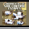 Pedro Sauer – Fundamentals of Side Control Escapes