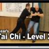 Sigung Richard Clear – Tai Chi Level 2