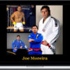 Joe Moreira – BJJ Home Study Course