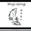 Yaron Seidman – Wuji Gong Inner Energy