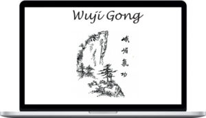 Yaron Seidman – Wuji Gong Inner Energy