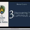 Pandit Rajmani Tigunait – Yoga Sutra Master Course 3 – Discovering Your Luminous Joy