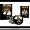 Expert Boxing – Secrets to Punching Power