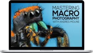 Fstoppers – Andres Moline – Mastering Macro Photography