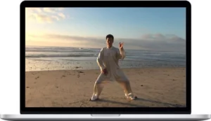 Jesse Tsao – Tai Chi Silk Reeling