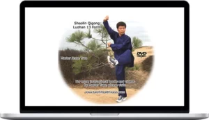 Master Tsao – Shaolin Qigong Luohan 13 Forms