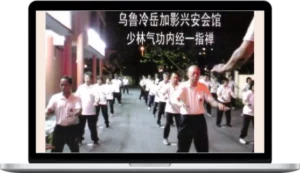 Que Ah Shui – Shaolin Nei Jing Yi Zhi Chan Qigong