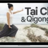 David-Dorian Ross – Essentials of Tai Chi and Qigong