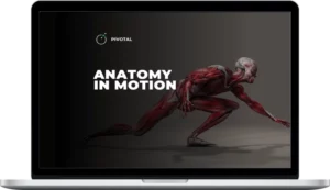 Exos – Anatomy In Motion