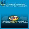 68 Travis Wilkerson How to Trade Stock Options Profiting in Up Down Markets