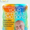 Awakening Through Your Difficult Emotions – Ram Dass