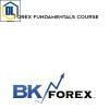 Bkforex %E2%80%93 forex fundamentals course